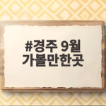 경주 9월 가볼만한곳 추천 일정과 꿀팁 경주 9월 가볼만한곳