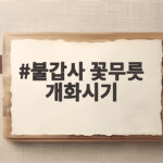 불갑사 꽃무릇 개화시기 총정리 불갑사 꽃무릇 개화시기