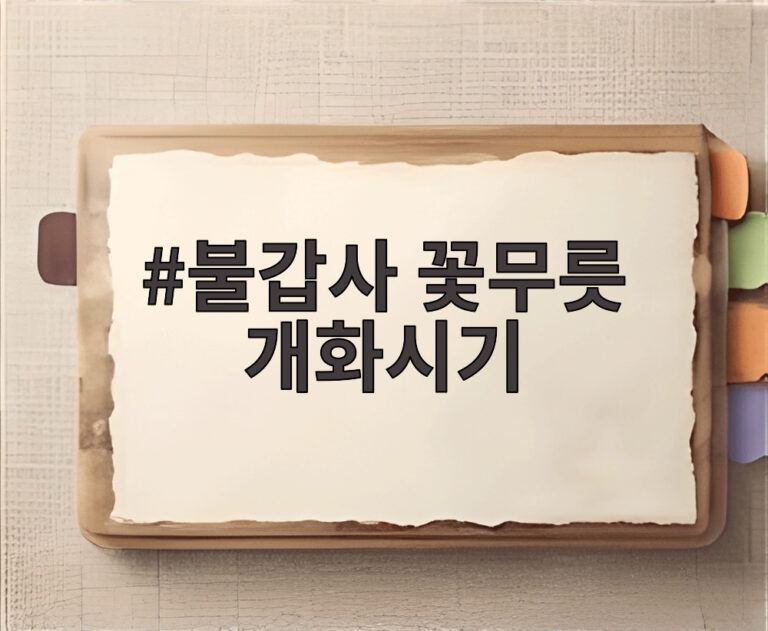 불갑사 꽃무릇 개화시기