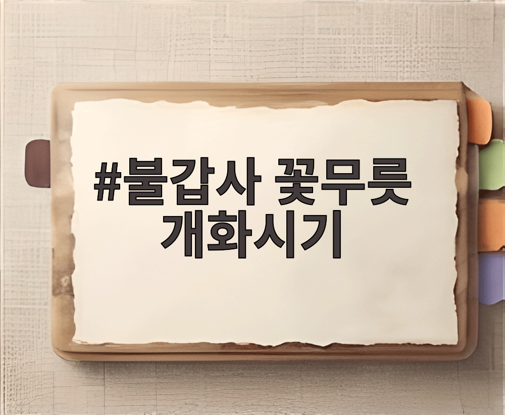 불갑사 꽃무릇 개화시기