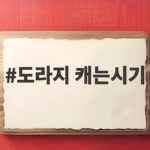 도라지 캐는시기와 수확 방법 정리 도라지 캐는시기