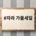 자라 가을세일 시기와 알뜰 쇼핑 요령 총정리 자라 가을세일