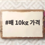 배 10kg 가격