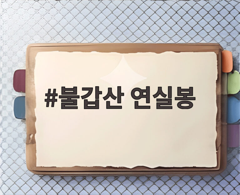 불갑산 연실봉
