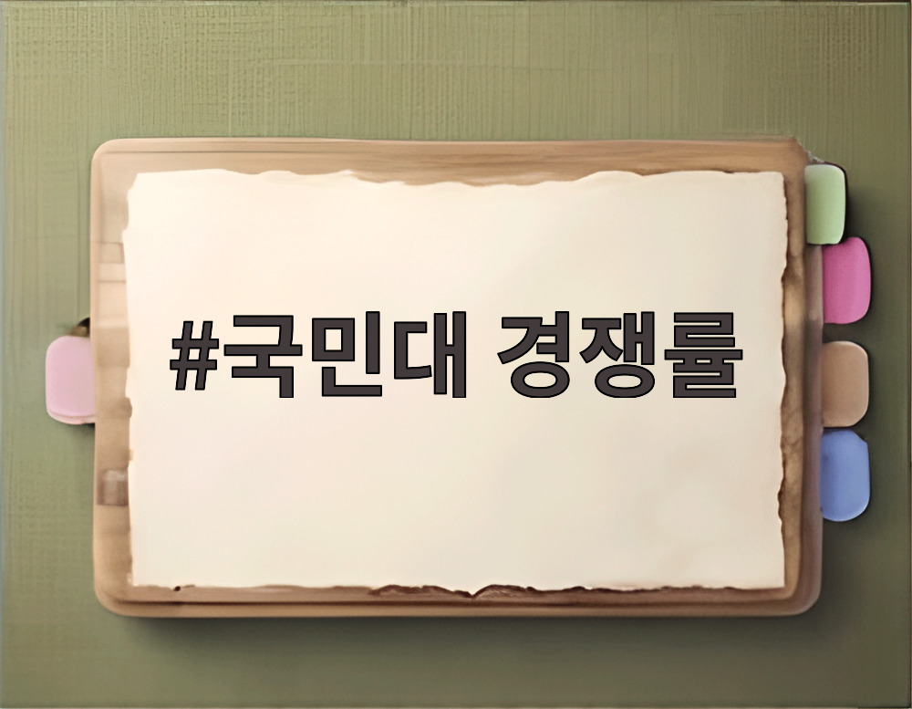 국민대 경쟁률