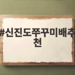 신진도 쭈꾸미 배 추천 고르는 법 신진도쭈꾸미배추천