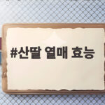 산딸 열매 효능