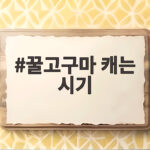 꿀고구마 캐는 시기와 숙성 기간 꿀고구마 캐는 시기