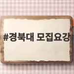 2027 경북대 수시모집 핵심 체크 경북대 모집요강
