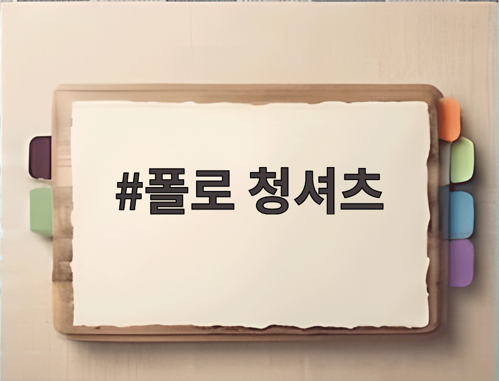 폴로 청셔츠
