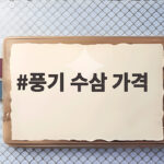 풍기 수삼 가격 비교와 구매 팁 풍기 수삼 가격