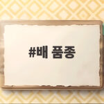 배 품종별 맛과 수확시기 정리 배 품종