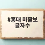 홍대 미활보 글자수 입력 기간 총정리 홍대 미활보 글자수