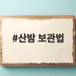 산밤 보관법 오래 두고 맛있게 즐기는 방법 산밤 보관법
