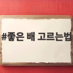 좋은 배 고르는법