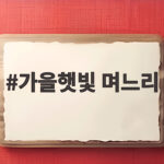 가을햇빛 며느리 속담과 자외선 진실 가을햇빛 며느리