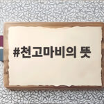 천고마비의 뜻
