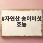 자연산 송이버섯 효능 물에 씻지 말아야 하는 이유와 향기로운 조리법 자연산 송이버섯 효능