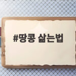 땅콩 삶는법 껍질째 햇땅콩 부드럽게 삶는 시간과 소금 간 맞추기 땅콩 삶는법