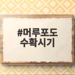 머루포도 수확시기