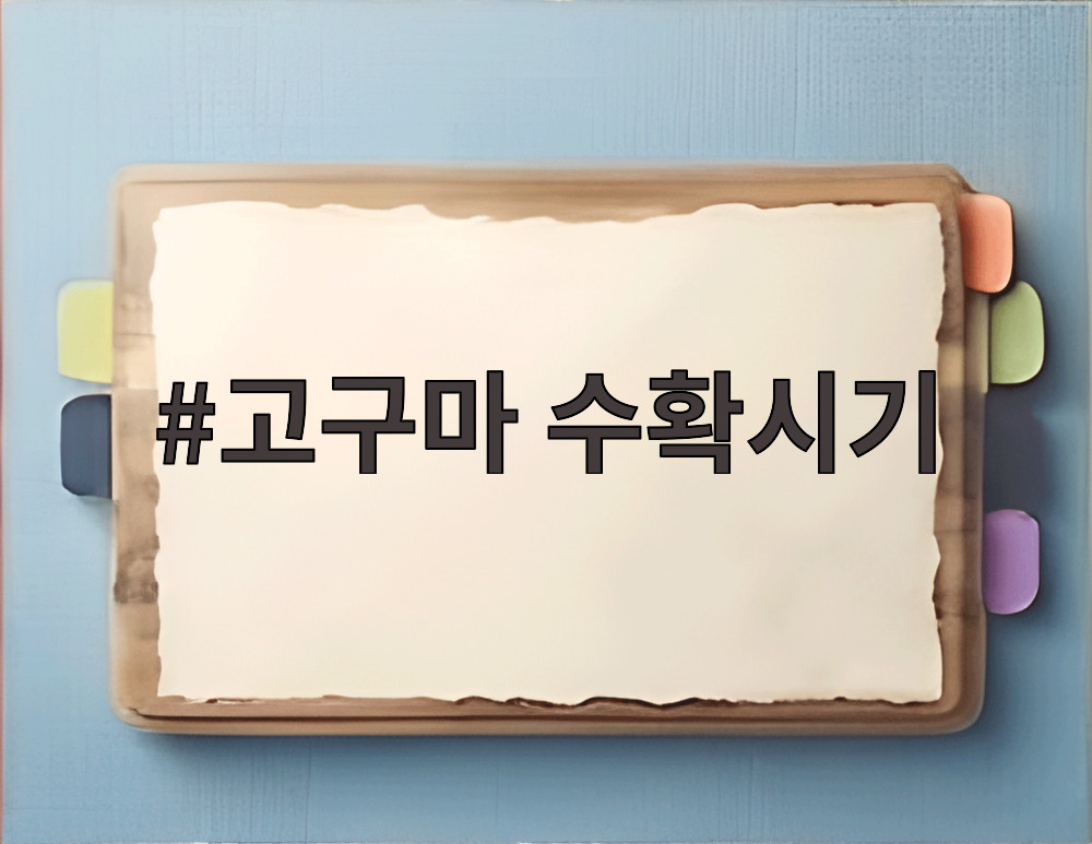고구마 수확시기