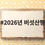 2026년 버섯산행 언제 어디로 가야 할까 2026년 버섯산행
