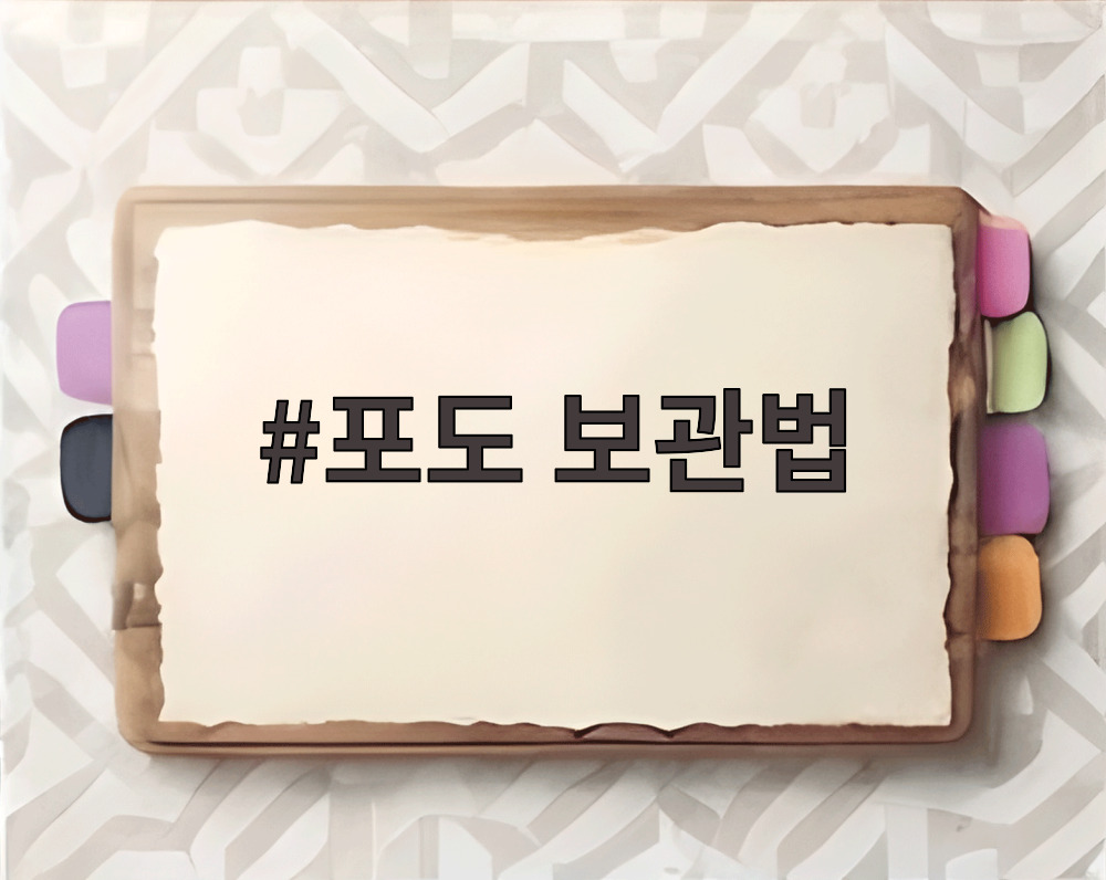 포도 보관법