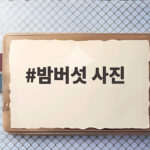 밤버섯 사진 찾다 알게 된 이름과 시기의 비밀 밤버섯 사진