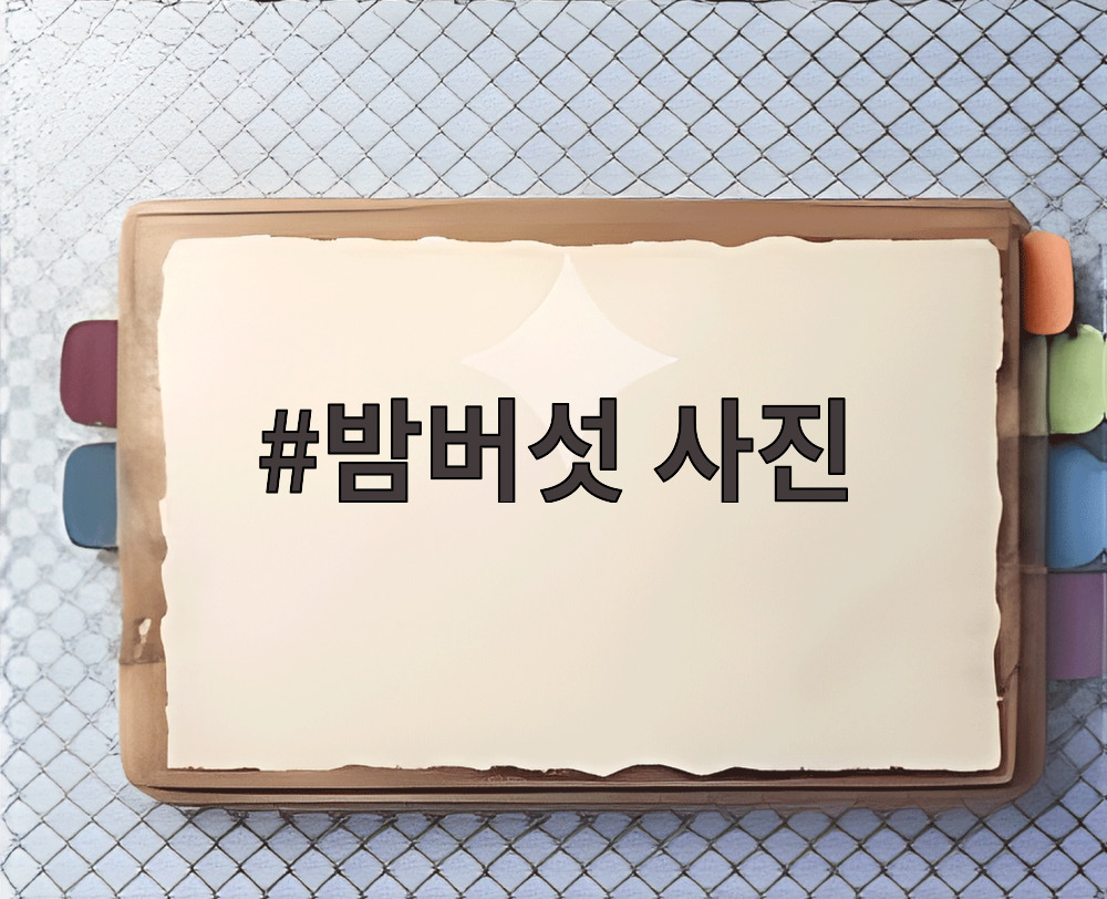 밤버섯 사진