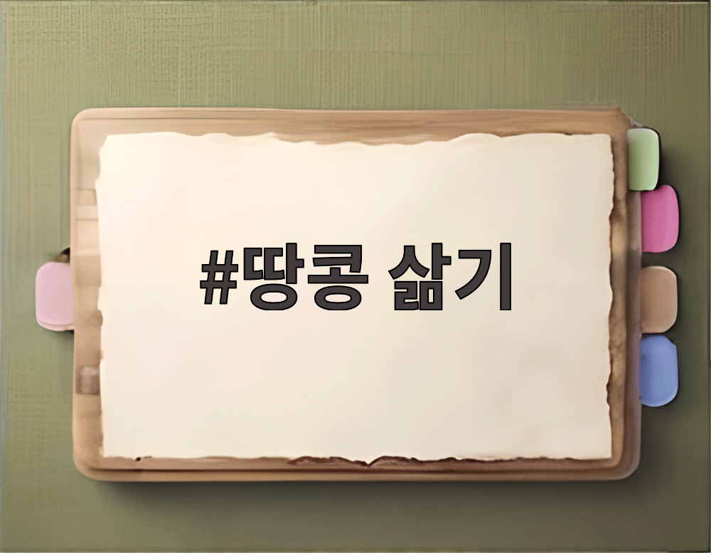 땅콩 삶기