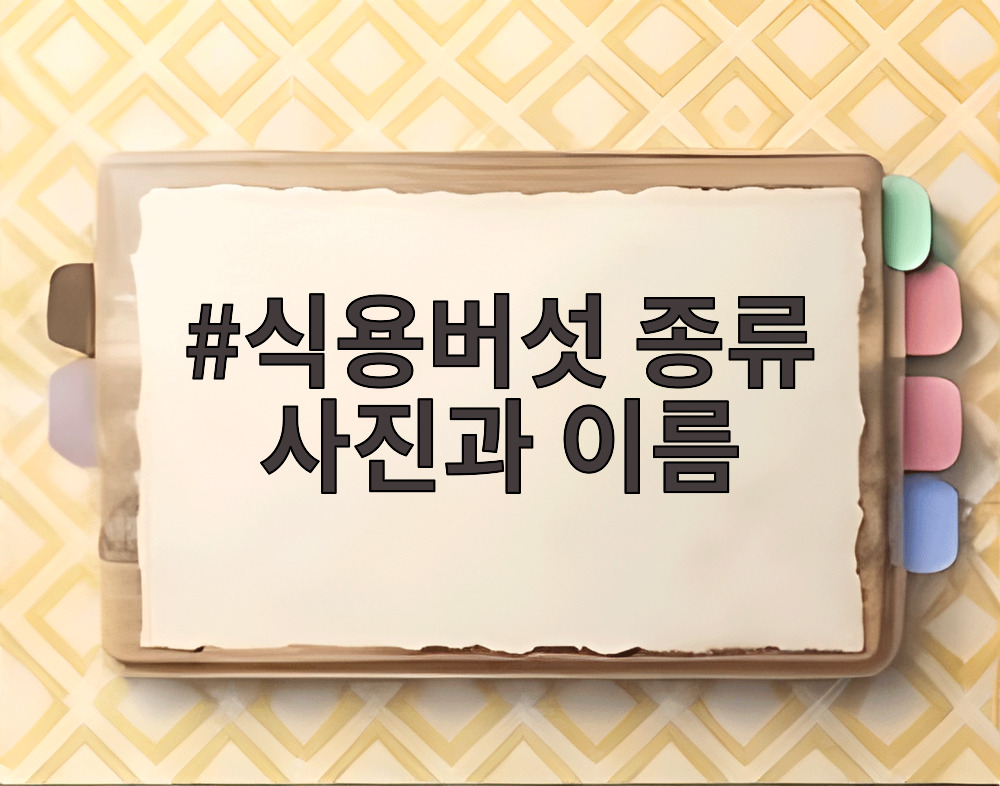 식용버섯 종류 사진과 이름