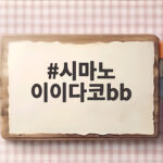 시마노 이이다코bb