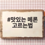 맛있는 메론 고르는법 껍질 무게 밑동 향을 확인하면 실패하지 않아요 맛있는 메론 고르는법