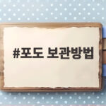 포도 보관방법
