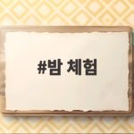 밤 체험