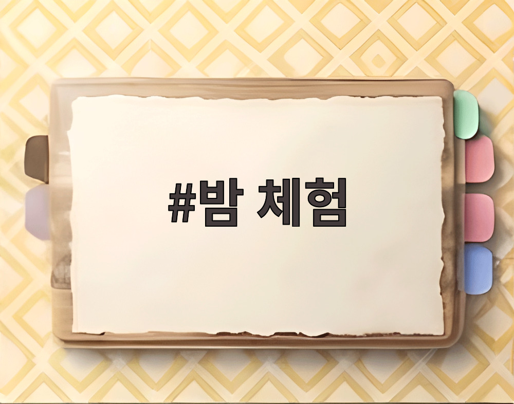 밤 체험