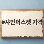 샤인머스켓 가격 9월 시세와 싸게 사는 꿀팁 총정리 샤인머스켓 가격