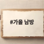 가을 남방 하나로 분위기 바꾸는 법 지금 확인하세요 가을 남방