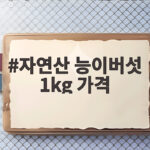 자연산 능이버섯 1kg 가격, 이 가격이면 사도 될까요 자연산 능이버섯 1kg 가격
