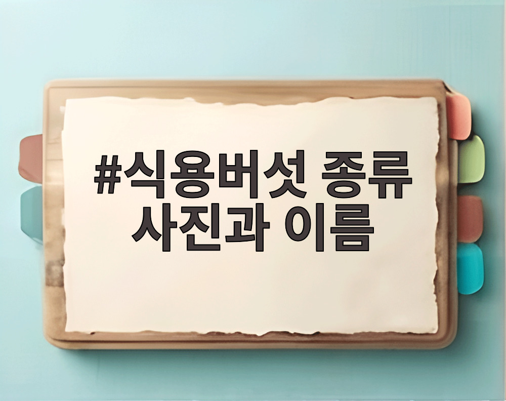 식용버섯 종류 사진과 이름