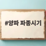 양파 파종시기 9월과 10월 씨앗 모종 심는 시기와 간격 한눈에 정리 양파 파종시기