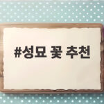성묘 꽃 추천 이것만 알면 고민 끝 성묘 꽃 추천