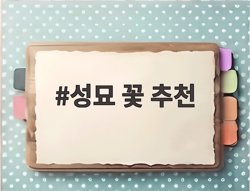 성묘 꽃 추천