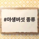 야생버섯 종류