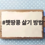 햇땅콩 삶기 방법 제철 맛있게 삶는 시간과 보관법 햇땅콩 삶기 방법