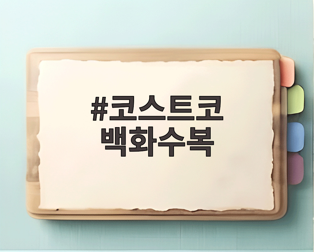 코스트코 백화수복 원컵 기획세트와 실리콘 뚜껑