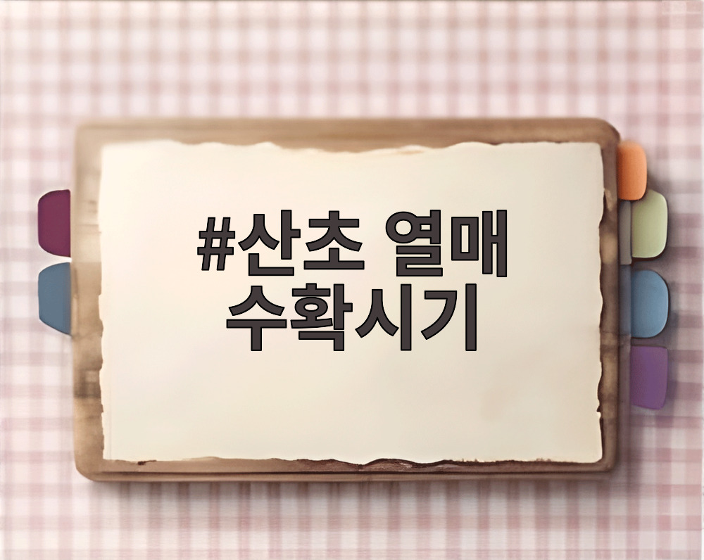 산초 열매 수확시기