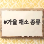 가을 채소 종류와 제철 영양 가득한 식탁 채우는 법 가을 채소 종류