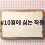 10월에 심는 작물, 지금 심어야 내년 봄이 풍성해집니다 10월에 심는 작물