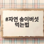 자연 송이버섯 먹는법 이것만 알면 향을 그대로 즐겨요 자연 송이버섯 먹는법
